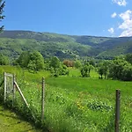 Ris Kuca Za Odmor *