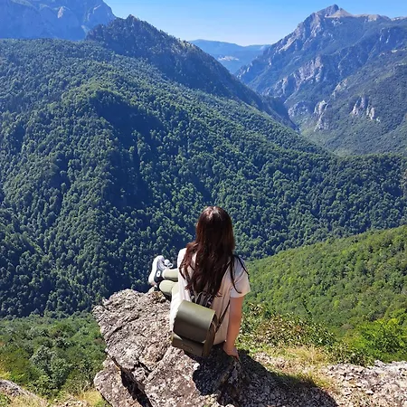 Ris Kuca Za Odmor Foca