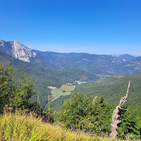 Ris Kuca Za Odmor Tatil Evi Foca